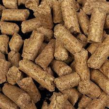کنسانتره بز داشتی