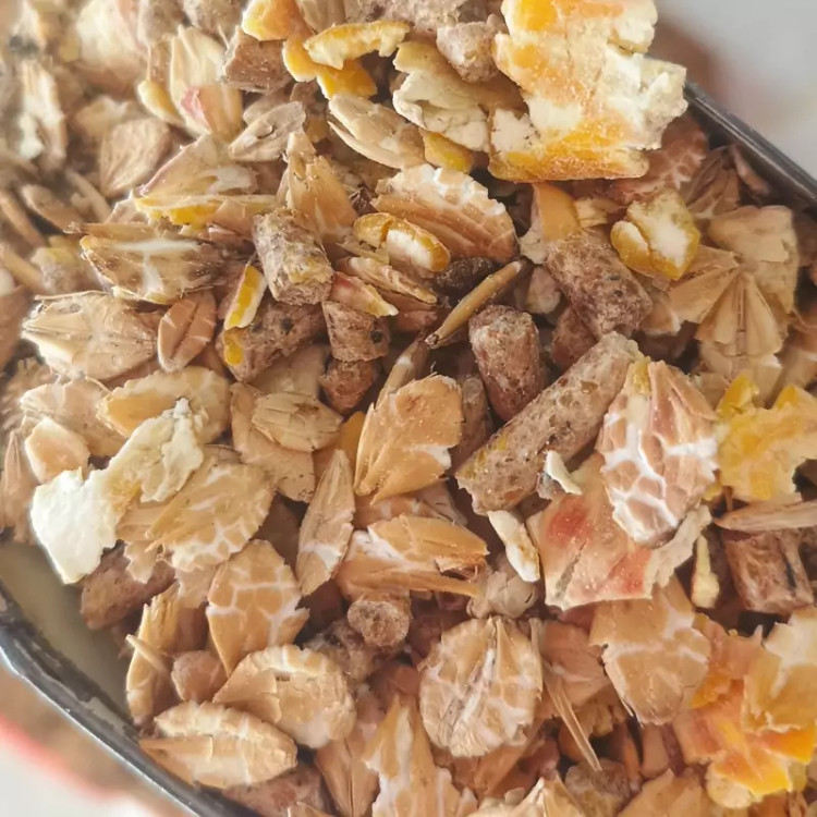 کنسانتره کره اسب