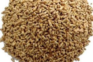 پایاندان مرغ بومی